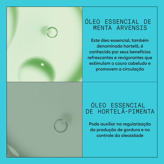 Condicionador para Cabelos Coloridos e Danificados Sistema 3 Nioxin